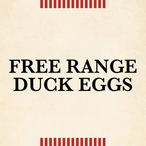Free Range Duck Eggs